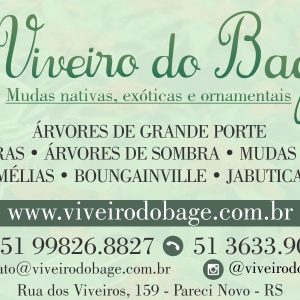 VIVEIRO DO BAGÉ EM PARECI NOVO | RS