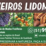 VIVEIROS LIDOMAR EM ALTO FELIZ RS