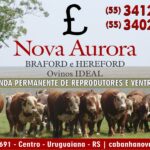ESTÂNCIA NOVA AURORA URUGUAIANA RS