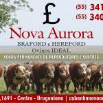 ESTÂNCIA NOVA AURORA URUGUAIANA RS