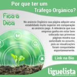 LIGUELISTA MARKETING DIGITAL PORTO ALEGRE